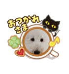 スタンプ～の小麦とめかぶ（個別スタンプ：2）