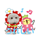 スタンプ～の小麦とめかぶ（個別スタンプ：13）