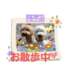 スタンプ～の小麦とめかぶ（個別スタンプ：14）