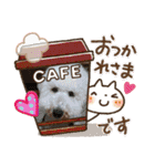 スタンプ～の小麦とめかぶ（個別スタンプ：15）