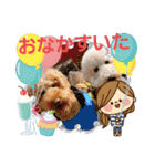 スタンプ～の小麦とめかぶ（個別スタンプ：19）