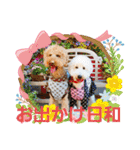 スタンプ～の小麦とめかぶ（個別スタンプ：24）
