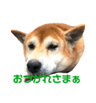ゆずとまる子（個別スタンプ：2）