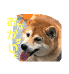 ゆずとまる子（個別スタンプ：6）
