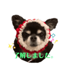 びーたろうスタンプ（個別スタンプ：3）