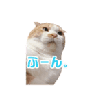 うなぎくんスタンプ（個別スタンプ：3）