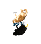うなぎくんスタンプ（個別スタンプ：4）