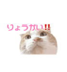 うなぎくんスタンプ（個別スタンプ：6）