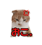 うなぎくんスタンプ（個別スタンプ：8）