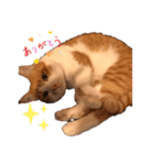 ねこ代弁します（個別スタンプ：5）