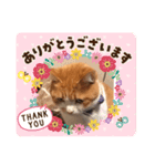 ねこ代弁します（個別スタンプ：6）
