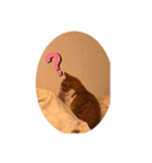 ねこ代弁します（個別スタンプ：7）