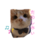 ねこ代弁します（個別スタンプ：9）