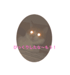 ねこ代弁します（個別スタンプ：13）
