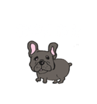 おかわりふれんちぃ©︎（個別スタンプ：19）