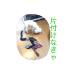 小雪の可愛いスタンプ（個別スタンプ：4）