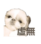 ★PAZU★（個別スタンプ：3）