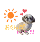★PAZU★（個別スタンプ：7）