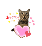 もと野良猫〜おいもちゃん（個別スタンプ：10）