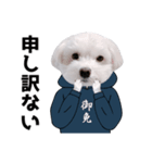 白い犬の気持ち2（個別スタンプ：6）