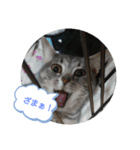 りんりん日常編（個別スタンプ：7）