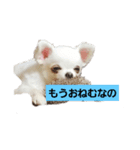 RinRin-（個別スタンプ：2）