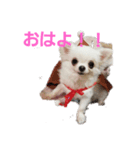 RinRin-（個別スタンプ：4）