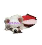 RinRin-（個別スタンプ：5）