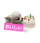 RinRin-（個別スタンプ：7）