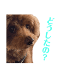 サンステコハク（個別スタンプ：2）