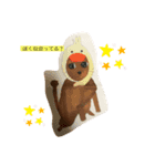 コロンコロコロ（個別スタンプ：2）