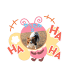 可愛い常務くん2（個別スタンプ：3）