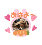 可愛い常務くん2（個別スタンプ：7）