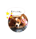 可愛い常務くん2（個別スタンプ：9）