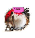 可愛い常務くん2（個別スタンプ：11）