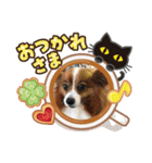 可愛い常務くん2（個別スタンプ：19）