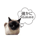 日常用語(日本語とドイツは)（個別スタンプ：2）