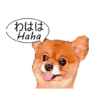 日常用語(日本語とドイツは)（個別スタンプ：4）