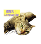 日常用語(日本語とドイツは)（個別スタンプ：5）