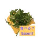 日常用語(日本語とドイツは)（個別スタンプ：6）