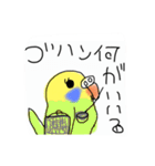 タビズキドリ＆暴れるインコ（個別スタンプ：12）