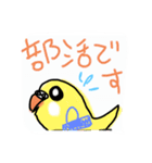 タビズキドリ＆暴れるインコ（個別スタンプ：13）