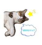 あもくんスタンプ♡2（個別スタンプ：2）