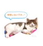 あもくんスタンプ♡2（個別スタンプ：3）