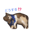 あもくんスタンプ♡2（個別スタンプ：4）