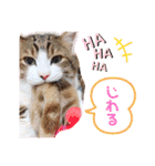 あもくんスタンプ♡2（個別スタンプ：9）