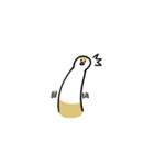 クリーム文鳥スタンプ（個別スタンプ：8）