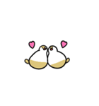 クリーム文鳥スタンプ（個別スタンプ：16）