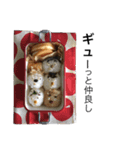 日々のお弁当（個別スタンプ：2）