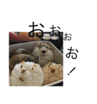 日々のお弁当（個別スタンプ：6）